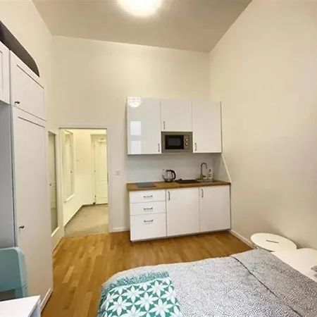 Cosy Small In 1 On Metro Muzeum Apartment Prague